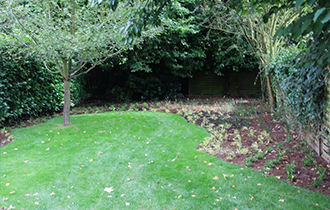 Photo d'un aménagement de jardin