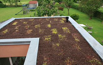 Photo d'une toiture végétale